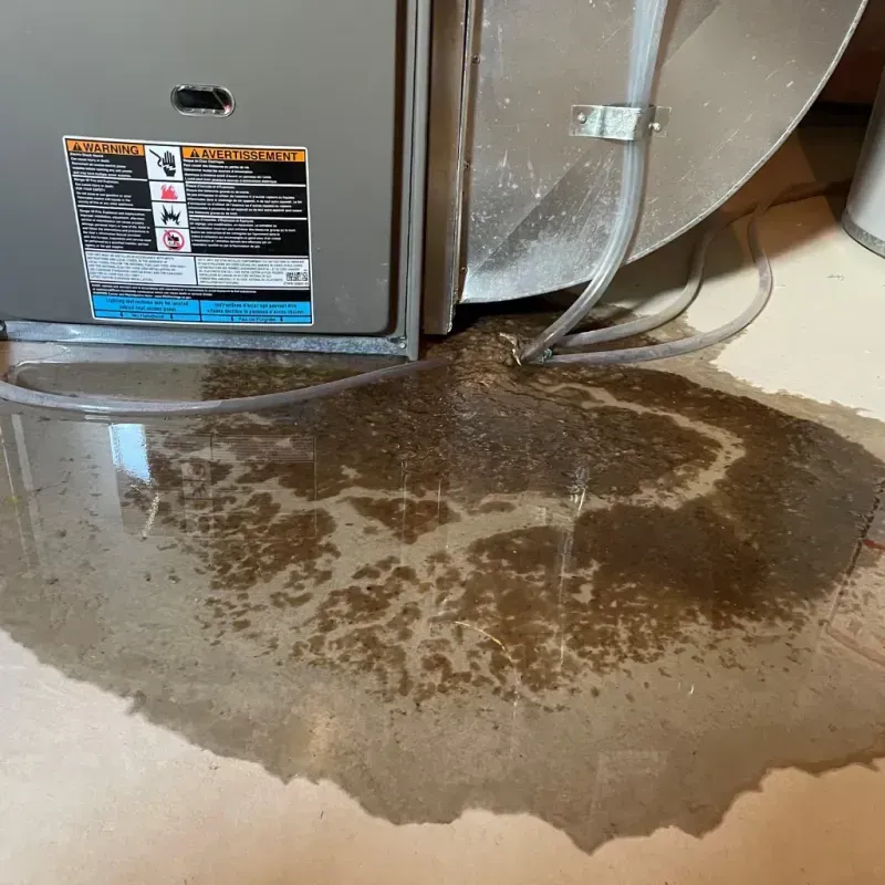 Appliance Leak Cleanup in Arnold Line, MS